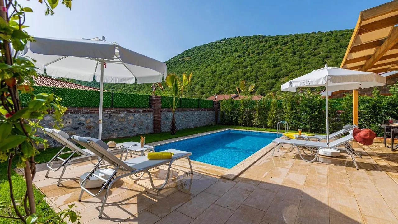 Ahu - 2 Bedroom Holiday Villa Kayakoey Oeluedeniz Φετιγιέ 0*,  Τουρκία